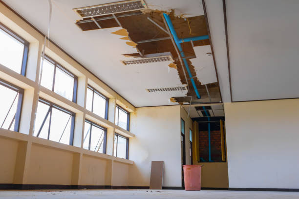 Best Ceiling water damage repair  in Grass Lake, MI