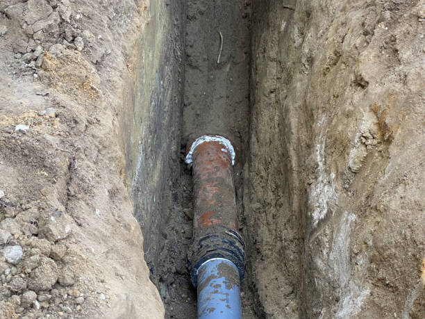 Best Water damage contractors near me  in Grass Lake, MI