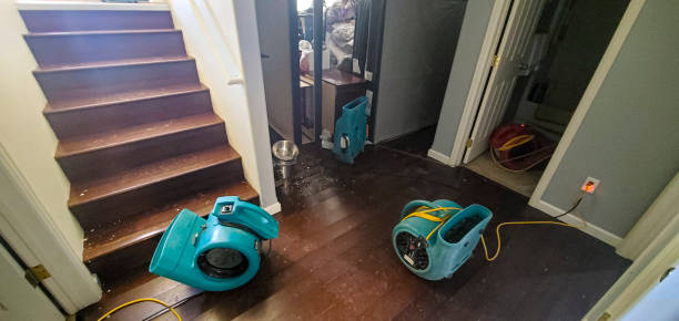 Best Flood restoration services  in Grass Lake, MI