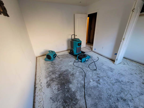 Best Flood restoration services  in Grass Lake, MI