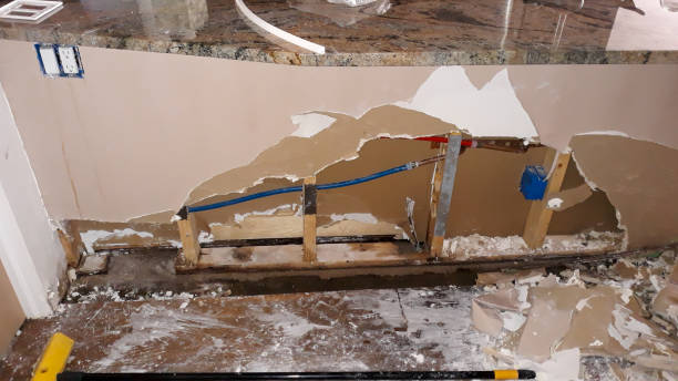 Best Fire Damage Restoration  in Grass Lake, MI