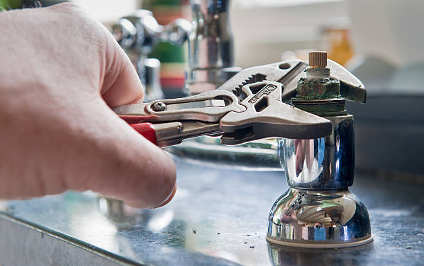 Best Local water damage restoration  in Grass Lake, MI
