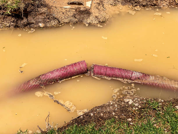 Best Water damage restoration company  in Grass Lake, MI