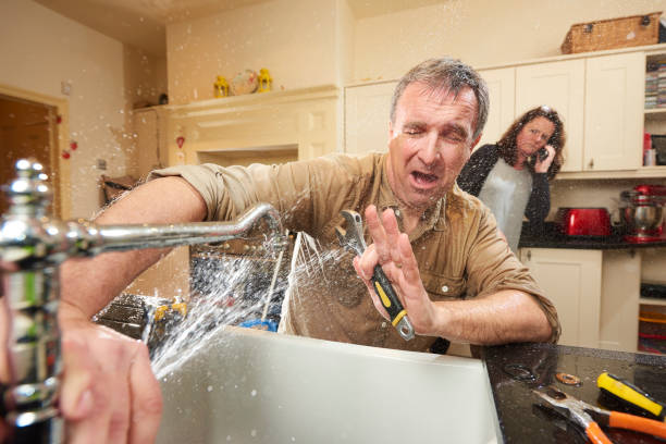 Best Emergency water damage restoration  in Grass Lake, MI